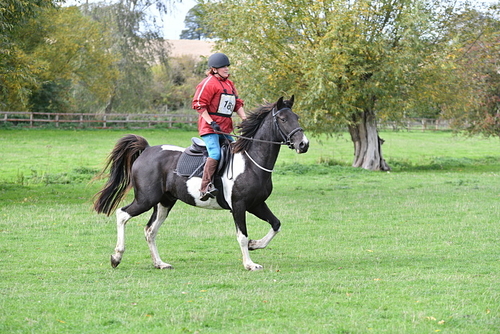 WJ5_9886