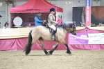 SBM_08119