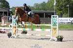 Saturday 13th - Western Counties Arena portfolio