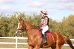 SBM_003339