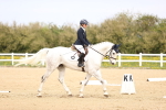 SBM_007384
