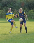 DSC03631