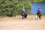 WJ6_7874
