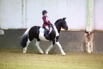 SBM_000271