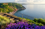 TQ218 _Springtime at Babbacombe Downs Torquay