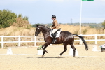 SBM_003599