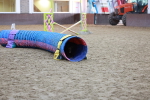 SBM_004495