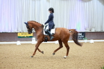 SBM_007224