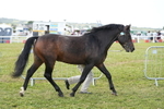 DSC05694