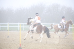 SBM_001050