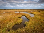 Stiffkey Marshes (02)