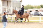 SBM_16411