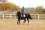 SBM_000971