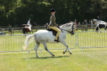 SBM_06736