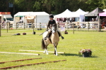 SBM_12693
