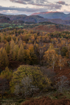 Holme Fell