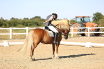 SBM_007741