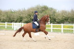 SBM_007232