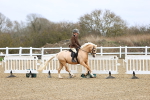 SBM_006844