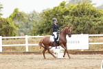 SBM_003963