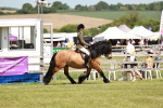 SBM_07109
