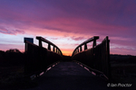 Sunrise at the Ecos