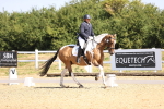 SBM_009308