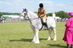 SBM_17251