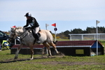 WJ5_6633