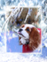 X12  Snowy