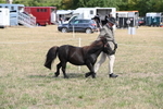 WJ6_6816