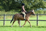 SBM_53982