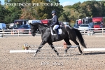 BPP_8921