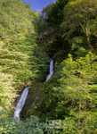 Dolgoch Falls