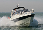 111001 ZANZARA IMG_1782