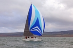 170701 BEWICK OF HAMBLE GBR1677R RTI_0311