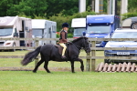 SBM_09696