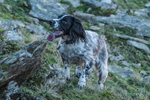 Dunnerdale-1071