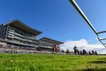 141023-Race 3-Montassib-3970