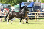 SBM_02098