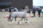 SBM_007281