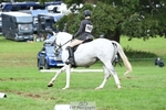 509-WOODLANDS.SILVER.CLOUD-Karen.Cowling-DR portfolio