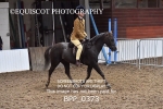 BPP_0373
