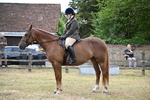 WJ6_3816