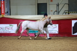 SBM_00246