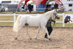 SBM_15063