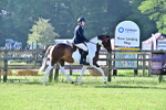 SBM_11371