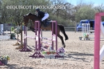 CLASS 21 SUN Senior 1.05m Open portfolio