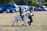 WJ6_7842