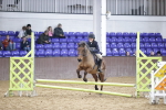 SBM_003307